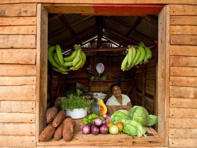 Barahona Restaurantes Barahona es una importante zona productora de frutas y verduras frescas, conocida por su café y sus grandes plátanos verdes. La especialidad local incluye platos de arroz con mariscos, así como cazuelas y chivo guisado o al horno, que se pueden degustar en los restaurantes Brisas del Caribe, María Montez y La Rocca.