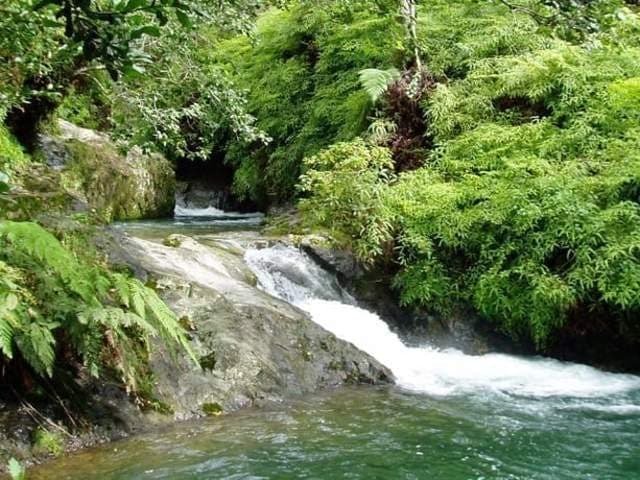 El Arroyazo Tras un pequeño paseo desde la entrada a la Reserva Científica Ébano Verde, encontrarás las aguas color esmeraldas de El Arroyazo, rodeado de un bosque espeso y rocas. Este prístino lugar de baño es un favorito de los locales en los fines de semana, cuando las familias llegan para refrescarse en las aguas frías del río Camú. ¡Ten en cuenta la temperatura del agua antes de saltar! El Arroyazo Tras un pequeño paseo desde la entrada a la Reserva Científica Ébano Verde, encontrarás las aguas color esmeraldas de El Arroyazo, rodeado de un bosque espeso y rocas. Este prístino lugar de baño es un favorito de los locales en los fines de semana, cuando las familias llegan para refrescarse en las aguas frías del río Camú. ¡Ten en cuenta la temperatura del agua antes de saltar!