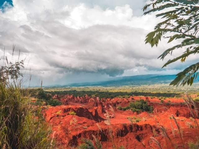 Hoyo de Pelempito

El viaje de casi 32 kilómetros desde el nivel del mar hasta el observatorio del Parque Hoyo de Pelempito es una atracción en sí mismo que atraviesa un área llamada Aceitilla, ubicada a 1,300 metros de altura. Este paisaje, único a la región del Caribe, te sorprenderá mientras se transforma de vegetación desértica a un bosque nublado. En la cima, hallarás varios senderos de montaña cerca del observatorio que se encuentra sobre esta depresión geológica de 700 metros de altura, anidada entre las montañas de la Sierra de Bahoruco. Las temperaturas aquí oscilan entre los 25°C al mediodía y los 0°C en las primeras horas de la mañana.