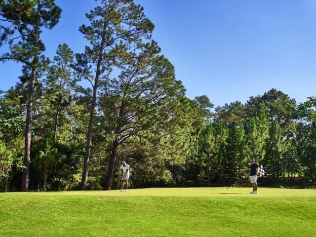 Jarabacoa Golf Club Un bosquecillo de pinos delinea los fairways de este campo de golf en las colinas de Jarabacoa. Es el único de su tipo en la República Dominicana y forma parte del desarrollo residencial Quintas de Primavera, en las afueras de Jarabacoa. Debido a que tiene diferentes elevaciones, ofrece retos diferentes a los que la mayoría de los golfistas están acostumbrados. Una leyenda local afirma que Robert T. Jones ayudó a diseñar el campo de golf en una servilleta. Ubicación: Quintas de Primavera, Jarabacoa, La Vega. Hoyos: 9; Par: 36; Yardas: 2,911 Diseñador: Luis de Pool Abierto en: 1978 Contacto: www.jarabacoagolf.com Teléfono: 809 782-9883