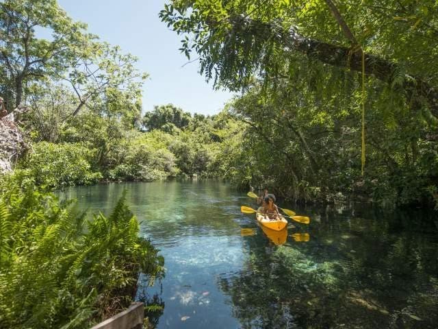 Laguna Dudú Una de las atracciones naturales más hermosas de la costa norte, la serie de lagunas de agua dulce color turquesa de la Laguna Dudú, rodeadas de cuevas y exuberantes bosques, te tendrá nadando todo el día. Ubicada en Cabrera, aproximadamente dos horas al este de Puerto Plata, y a una hora de Playa Grande, este parque ofrece un montón de actividades al aire libre. Nada o alquila un kayak para explorar estas aguas, visita una de las cuevas a pie, o atrévete con el improvisado zipline, que te lanzará desde una altura de 10 metros hasta la laguna más honda. En la finca, encontrarás un restaurante y bar y muchas áreas verdes para relajarte todo el día. Laguna Dudú Una de las atracciones naturales más hermosas de la costa norte, la serie de lagunas de agua dulce color turquesa de la Laguna Dudú, rodeadas de cuevas y exuberantes bosques, te tendrá nadando todo el día. Ubicada en Cabrera, aproximadamente dos horas al este de Puerto Plata, y a una hora de Playa Grande, este parque ofrece un montón de actividades al aire libre. Nada o alquila un kayak para explorar estas aguas, visita una de las cuevas a pie, o atrévete con el improvisado zipline, que te lanzará desde una altura de 10 metros hasta la laguna más honda. En la finca, encontrarás un restaurante y bar y muchas áreas verdes para relajarte todo el día.