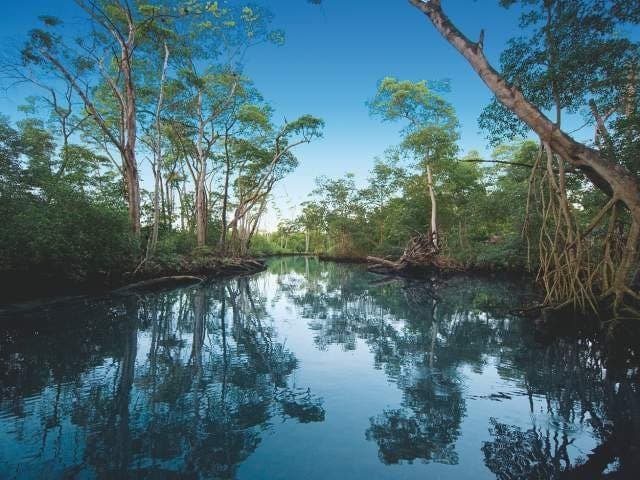 Laguna Gri-Gri Ubicada en el pueblo pesquero de Río San Juan, aproximadamente a 100 kilómetros al este de Puerto Plata, la Laguna Gri-Gri es uno de los mayores santuarios de aves del país. Se pueden hacer paseos en bote por esta tranquila laguna flanqueada por manglares a cualquier hora del día, pero el mejor momento es sin duda el atardecer, cuando podrás apreciar las garcetas y los buitres volando y chirriando por encima de los manglares mientras el bote pasa por estrechos canales que eventualmente desembocan en el mar. Los tours diarios guiados en bote incluyen una parada en la Cueva de Las Golondrinas, frente a una ensenada poco profunda de color turquesa donde te podrás dar un baño. El tour termina en la mágica Playa Caletón para disfrutar una de las maravillosas playas de Río San Juan. Laguna Gri-Gri Ubicada en el pueblo pesquero de Río San Juan, aproximadamente a 100 kilómetros al este de Puerto Plata, la Laguna Gri-Gri es uno de los mayores santuarios de aves del país. Se pueden hacer paseos en bote por esta tranquila laguna flanqueada por manglares a cualquier hora del día, pero el mejor momento es sin duda el atardecer, cuando podrás apreciar las garcetas y los buitres volando y chirriando por encima de los manglares mientras el bote pasa por estrechos canales que eventualmente desembocan en el mar. Los tours diarios guiados en bote incluyen una parada en la Cueva de Las Golondrinas, frente a una ensenada poco profunda de color turquesa donde te podrás dar un baño. El tour termina en la mágica Playa Caletón para disfrutar una de las maravillosas playas de Río San Juan.