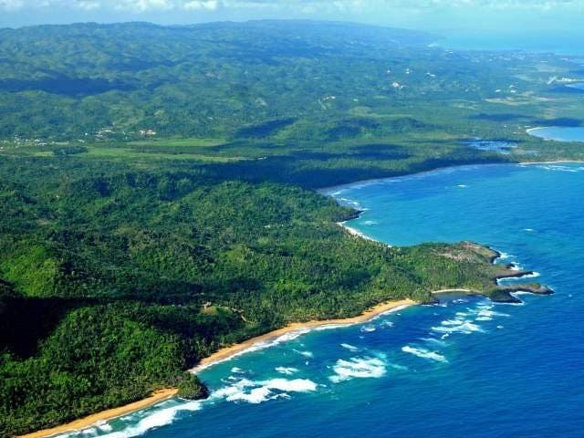 Playa El Limón Son pocos los que llegan a las prístinas y brillantes orillas blancas de Playa El Limón, visibles desde la igualmente recluida Playa Morón, una vez hogar de los piratas que rondaban Samaná. Vale la pena el esfuerzo para llegar, ya que podrás disfrutar de uno de los tramos de playa más tranquilos de la península. Para más aventura, únete a una excursión que te llevará nadando por el río El Limón mientras se abre camino hasta la playa. Playa El Limón Son pocos los que llegan a las prístinas y brillantes orillas blancas de Playa El Limón, visibles desde la igualmente recluida Playa Morón, una vez hogar de los piratas que rondaban Samaná. Vale la pena el esfuerzo para llegar, ya que podrás disfrutar de uno de los tramos de playa más tranquilos de la península. Para más aventura, únete a una excursión que te llevará nadando por el río El Limón mientras se abre camino hasta la playa.