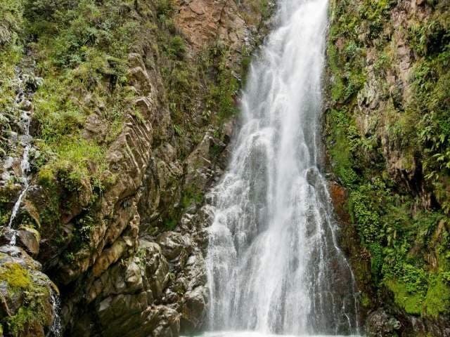 Salto de Aguas Blancas Ubicada en una meseta, la cascada de Aguas Blancas, una de las más altas en el Caribe, cae unos 83 metros hasta una gran piscina fría color jade abrazada por un terreno cubierto de altos pinos y árboles de ébano verde. El viaje de aproximadamente 10 kilómetros hasta la cascada es un ascenso aventurero y divertido, se necesita un vehículo todo terreno, a través de los profundos bosques de Constanza y los pueblos montañosos llenos de chozas, pasando por campos de maíz dulce, papas y zanahorias. Puentes peatonales y una plataforma de madera permiten observarla desde cerca, y se puede descender más hasta piscinas inferiores. Esta área también es ideal para la observación de aves y senderismo de montaña. Las temperaturas son bajas en esta zona, particularmente en las mañanas cuando caen bajo cero y de noviembre a marzo debes cuidarte al entrar al agua fría por el riesgo de sufrir hipotermia.