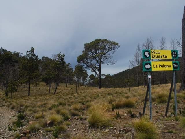 Parque Nacional Armando Bermúdez Establecido en 1956, el Parque Nacional José Armando Bermúdez tiene una extensión de 767 kilómetros cuadrados y, junto con el vecino Parque Nacional José del Carmen Ramírez, cuenta con los picos más altos de la región caribeña, incluyendo el imponente Pico Duarte, donde nace el río Yaque del Norte, así como varias otras fuentes fluviales. Los dos parques cubren la superficie de toda la Cordillera Central. Encontrarás flora única a esta altitud, donde las temperaturas oscilan entre los 12ºC y -8ºC por la noche, incluyendo pinos criollos endémicos, helechos, caoba, entre otros. En medio de estos preciosos árboles se encuentran numerosas especies de aves como la cigua palmera, el ave nacional de República Dominicana, el loro de la Hispaniola, mariposas y ranas. Incluso puede ser que veas la hutía, una especie de rata grande en peligro de extinción. Una de las rutas de senderismo más populares hacia el Pico Duarte sale de la oficina principal de este parque nacional, donde se pueden contratar guías oficiales requeridos para la aventura, así como mulas para el viaje de dos o tres días.