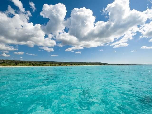 Parque Nacional Jaragua Ubicado en la parte más al sur de Pedernales, esta reserva natural es una de las más importantes de República Dominicana y forma parte de la primera Reserva de la Biosfera UNESCO en el país. Los 1,295 kilómetros cuadrados del Parque Nacional Jaragua abarcan diversos ecosistemas, desde el mar a la tierra, lagunas e islas, cuevas taínas, la preciosa y virgen Bahía de Las Águilas y las aisladas islas Beata y Alto Velo. La flora y fauna de esta área son iguales en diversidad. Las distintas especies que se pueden apreciar en el Parque Nacional Jaragua van desde los manatíes a las tortugas, carey, laúd, boba y marinas verdes, que anidan en sus playas. Se han identificado al menos 400 especies de flora, incluyendo bosques tropicales, cactus, manglares y humedales donde viven más de 130 especies de aves, diez de las cuales son endémicas. Podrás ver grandes bandadas de flamencos americanos, palomas coronadas blancas, así como ibis blanca, águilas pescadoras, garzas reales, espátulas rosadas, garzas azules, entre otras. Las iguanas también llaman este parque su hogar, desde la iguana rinoceronte, que se encuentra en peligro de extinción, hasta la iguana Ricord’s. También verás al solenodonte de la Hispaniola y a la jutía de la Hispaniola. Parque Nacional Jaragua Ubicado en la parte más al sur de Pedernales, esta reserva natural es una de las más importantes de República Dominicana y forma parte de la primera Reserva de la Biosfera UNESCO en el país. Los 1,295 kilómetros cuadrados del Parque Nacional Jaragua abarcan diversos ecosistemas, desde el mar a la tierra, lagunas e islas, cuevas taínas, la preciosa y virgen Bahía de Las Águilas y las aisladas islas Beata y Alto Velo. La flora y fauna de esta área son iguales en diversidad. Las distintas especies que se pueden apreciar en el Parque Nacional Jaragua van desde los manatíes a las tortugas, carey, laúd, boba y marinas verdes, que anidan en sus playas. Se han identificado al menos 400 especies de flora, incluyendo bosques tropicales, cactus, manglares y humedales donde viven más de 130 especies de aves, diez de las cuales son endémicas. Podrás ver grandes bandadas de flamencos americanos, palomas coronadas blancas, así como ibis blanca, águilas pescadoras, garzas reales, espátulas rosadas, garzas azules, entre otras. Las iguanas también llaman este parque su hogar, desde la iguana rinoceronte, que se encuentra en peligro de extinción, hasta la iguana Ricord’s. También verás al solenodonte de la Hispaniola y a la jutía de la Hispaniola.