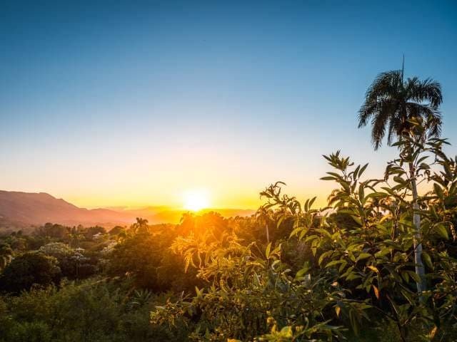 Parque Nacional José del Carmen Ramírez Al igual que su adyacente Parque Nacional Armando Bermúdez, pero aún menos explorado, este es uno de los primeros parques nacionales y áreas protegidas del país. Se extiende a través de tres provincias en 764 kilómetros cuadrados, el parque fue bautizado con el nombre de un prominente general dominicano. La flora y la fauna abundan, desde pinos y frondosos bosques, hasta cedros, roedores, cerdos y serpientes inofensivas. La observación de aves es ideal aquí, ya que se pueden avistar numerosas especies que prosperan en elevadas altitudes, incluyendo la Golondrina Dorada, el perico de la Hispaniola, el loro de la Hispaniola y la cigüita azul de garganta negra, entre muchas otras. El parque también ofrece un punto de entrada alternativo al camino de dos o tres días que lleva al Pico Duarte. Parque Nacional José del Carmen Ramírez Al igual que su adyacente Parque Nacional Armando Bermúdez, pero aún menos explorado, este es uno de los primeros parques nacionales y áreas protegidas del país. Se extiende a través de tres provincias en 764 kilómetros cuadrados, el parque fue bautizado con el nombre de un prominente general dominicano. La flora y la fauna abundan, desde pinos y frondosos bosques, hasta cedros, roedores, cerdos y serpientes inofensivas. La observación de aves es ideal aquí, ya que se pueden avistar numerosas especies que prosperan en elevadas altitudes, incluyendo la Golondrina Dorada, el perico de la Hispaniola, el loro de la Hispaniola y la cigüita azul de garganta negra, entre muchas otras. El parque también ofrece un punto de entrada alternativo al camino de dos o tres días que lleva al Pico Duarte.
